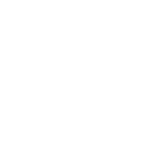 Project Orbit